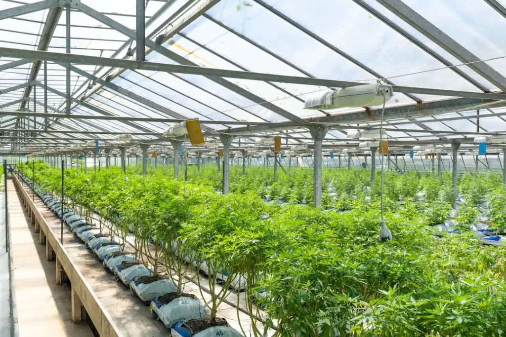 零售门店数字化升级：武汉联石科技的系统集成方案与技术解析